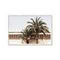 Picture of Wall with Palm Tree _GroupedProduct_Rectangle_Landscape_Photography _GroupedProduct_Rectangle_Landscape_Framed_Matted_