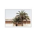 Picture of Wall with Palm Tree _GroupedProduct_Rectangle_Landscape_Photography _GroupedProduct_Rectangle_Landscape_Framed_Matted_