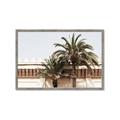 Picture of Wall with Palm Tree _GroupedProduct_Rectangle_Landscape_Photography _GroupedProduct_Rectangle_Landscape_Framed_Matted_