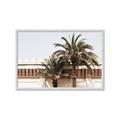 Picture of Wall with Palm Tree _GroupedProduct_Rectangle_Landscape_Photography _GroupedProduct_Rectangle_Landscape_Framed_Matted_