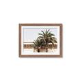 Picture of Wall with Palm Tree _GroupedProduct_Rectangle_Landscape_Photography _GroupedProduct_Rectangle_Landscape_Framed_Matted_