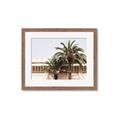 Picture of Wall with Palm Tree _GroupedProduct_Rectangle_Landscape_Photography _GroupedProduct_Rectangle_Landscape_Framed_Matted_