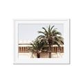Picture of Wall with Palm Tree _GroupedProduct_Rectangle_Landscape_Photography _GroupedProduct_Rectangle_Landscape_Framed_Matted_