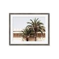 Picture of Wall with Palm Tree _GroupedProduct_Rectangle_Landscape_Photography _GroupedProduct_Rectangle_Landscape_Framed_Matted_