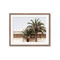 Picture of Wall with Palm Tree _GroupedProduct_Rectangle_Landscape_Photography _GroupedProduct_Rectangle_Landscape_Framed_Matted_