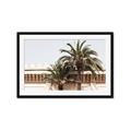 Picture of Wall with Palm Tree _GroupedProduct_Rectangle_Landscape_Photography _GroupedProduct_Rectangle_Landscape_Framed_Matted_
