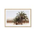 Picture of Wall with Palm Tree _GroupedProduct_Rectangle_Landscape_Photography _GroupedProduct_Rectangle_Landscape_Framed_Matted_