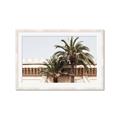 Picture of Wall with Palm Tree _GroupedProduct_Rectangle_Landscape_Photography _GroupedProduct_Rectangle_Landscape_Framed_Matted_