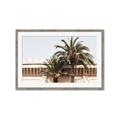 Picture of Wall with Palm Tree _GroupedProduct_Rectangle_Landscape_Photography _GroupedProduct_Rectangle_Landscape_Framed_Matted_