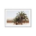 Picture of Wall with Palm Tree _GroupedProduct_Rectangle_Landscape_Photography _GroupedProduct_Rectangle_Landscape_Framed_Matted_