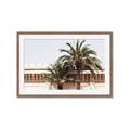 Picture of Wall with Palm Tree _GroupedProduct_Rectangle_Landscape_Photography _GroupedProduct_Rectangle_Landscape_Framed_Matted_