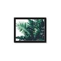 Picture of Fern Garden  _GroupedProduct_Rectangle_Landscape_Photography _GroupedProduct_Rectangle_Landscape_Framed_Matted_