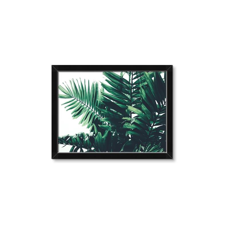 Picture of Fern Garden  _GroupedProduct_Rectangle_Landscape_Photography _GroupedProduct_Rectangle_Landscape_Framed_Matted_