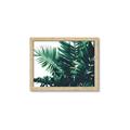 Picture of Fern Garden  _GroupedProduct_Rectangle_Landscape_Photography _GroupedProduct_Rectangle_Landscape_Framed_Matted_