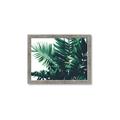 Picture of Fern Garden  _GroupedProduct_Rectangle_Landscape_Photography _GroupedProduct_Rectangle_Landscape_Framed_Matted_