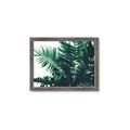 Picture of Fern Garden  _GroupedProduct_Rectangle_Landscape_Photography _GroupedProduct_Rectangle_Landscape_Framed_Matted_