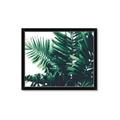 Picture of Fern Garden  _GroupedProduct_Rectangle_Landscape_Photography _GroupedProduct_Rectangle_Landscape_Framed_Matted_