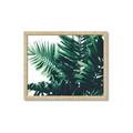 Picture of Fern Garden  _GroupedProduct_Rectangle_Landscape_Photography _GroupedProduct_Rectangle_Landscape_Framed_Matted_