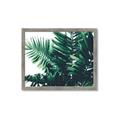 Picture of Fern Garden  _GroupedProduct_Rectangle_Landscape_Photography _GroupedProduct_Rectangle_Landscape_Framed_Matted_
