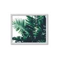 Picture of Fern Garden  _GroupedProduct_Rectangle_Landscape_Photography _GroupedProduct_Rectangle_Landscape_Framed_Matted_