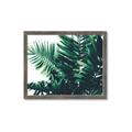 Picture of Fern Garden  _GroupedProduct_Rectangle_Landscape_Photography _GroupedProduct_Rectangle_Landscape_Framed_Matted_