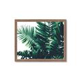 Picture of Fern Garden  _GroupedProduct_Rectangle_Landscape_Photography _GroupedProduct_Rectangle_Landscape_Framed_Matted_