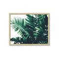 Picture of Fern Garden  _GroupedProduct_Rectangle_Landscape_Photography _GroupedProduct_Rectangle_Landscape_Framed_Matted_