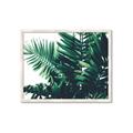 Picture of Fern Garden  _GroupedProduct_Rectangle_Landscape_Photography _GroupedProduct_Rectangle_Landscape_Framed_Matted_