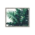 Picture of Fern Garden  _GroupedProduct_Rectangle_Landscape_Photography _GroupedProduct_Rectangle_Landscape_Framed_Matted_