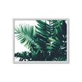 Picture of Fern Garden  _GroupedProduct_Rectangle_Landscape_Photography _GroupedProduct_Rectangle_Landscape_Framed_Matted_