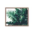 Picture of Fern Garden  _GroupedProduct_Rectangle_Landscape_Photography _GroupedProduct_Rectangle_Landscape_Framed_Matted_