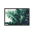 Picture of Fern Garden  _GroupedProduct_Rectangle_Landscape_Photography _GroupedProduct_Rectangle_Landscape_Framed_Matted_