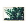 Picture of Fern Garden  _GroupedProduct_Rectangle_Landscape_Photography _GroupedProduct_Rectangle_Landscape_Framed_Matted_