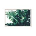 Picture of Fern Garden  _GroupedProduct_Rectangle_Landscape_Photography _GroupedProduct_Rectangle_Landscape_Framed_Matted_