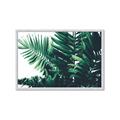 Picture of Fern Garden  _GroupedProduct_Rectangle_Landscape_Photography _GroupedProduct_Rectangle_Landscape_Framed_Matted_