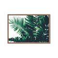 Picture of Fern Garden  _GroupedProduct_Rectangle_Landscape_Photography _GroupedProduct_Rectangle_Landscape_Framed_Matted_