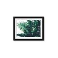 Picture of Fern Garden  _GroupedProduct_Rectangle_Landscape_Photography _GroupedProduct_Rectangle_Landscape_Framed_Matted_