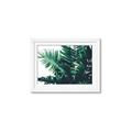 Picture of Fern Garden  _GroupedProduct_Rectangle_Landscape_Photography _GroupedProduct_Rectangle_Landscape_Framed_Matted_