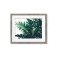 Picture of Fern Garden  _GroupedProduct_Rectangle_Landscape_Photography _GroupedProduct_Rectangle_Landscape_Framed_Matted_