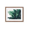 Picture of Fern Garden  _GroupedProduct_Rectangle_Landscape_Photography _GroupedProduct_Rectangle_Landscape_Framed_Matted_