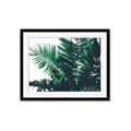 Picture of Fern Garden  _GroupedProduct_Rectangle_Landscape_Photography _GroupedProduct_Rectangle_Landscape_Framed_Matted_
