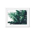 Picture of Fern Garden  _GroupedProduct_Rectangle_Landscape_Photography _GroupedProduct_Rectangle_Landscape_Framed_Matted_