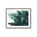 Picture of Fern Garden  _GroupedProduct_Rectangle_Landscape_Photography _GroupedProduct_Rectangle_Landscape_Framed_Matted_