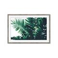 Picture of Fern Garden  _GroupedProduct_Rectangle_Landscape_Photography _GroupedProduct_Rectangle_Landscape_Framed_Matted_