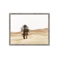 Picture of Sandy Desert  _GroupedProduct_Rectangle_Landscape_Photography _GroupedProduct_Rectangle_Landscape_Framed_Matted_
