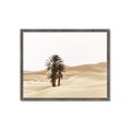 Picture of Sandy Desert  _GroupedProduct_Rectangle_Landscape_Photography _GroupedProduct_Rectangle_Landscape_Framed_Matted_