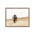 Picture of Sandy Desert  _GroupedProduct_Rectangle_Landscape_Photography _GroupedProduct_Rectangle_Landscape_Framed_Matted_