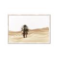 Picture of Sandy Desert  _GroupedProduct_Rectangle_Landscape_Photography _GroupedProduct_Rectangle_Landscape_Framed_Matted_
