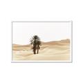Picture of Sandy Desert  _GroupedProduct_Rectangle_Landscape_Photography _GroupedProduct_Rectangle_Landscape_Framed_Matted_