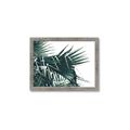 Picture of Behind the Leaves _GroupedProduct_Rectangle_Landscape_Photography _GroupedProduct_Rectangle_Landscape_Framed_Matted_